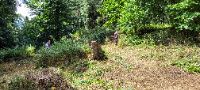 20230729_113350 (002)